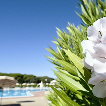 Isa-Apartments 4 Beds In Residence With Swimming-Pool In San Vincenzo, Just 600 Meters From The Sea Exteriör bild
