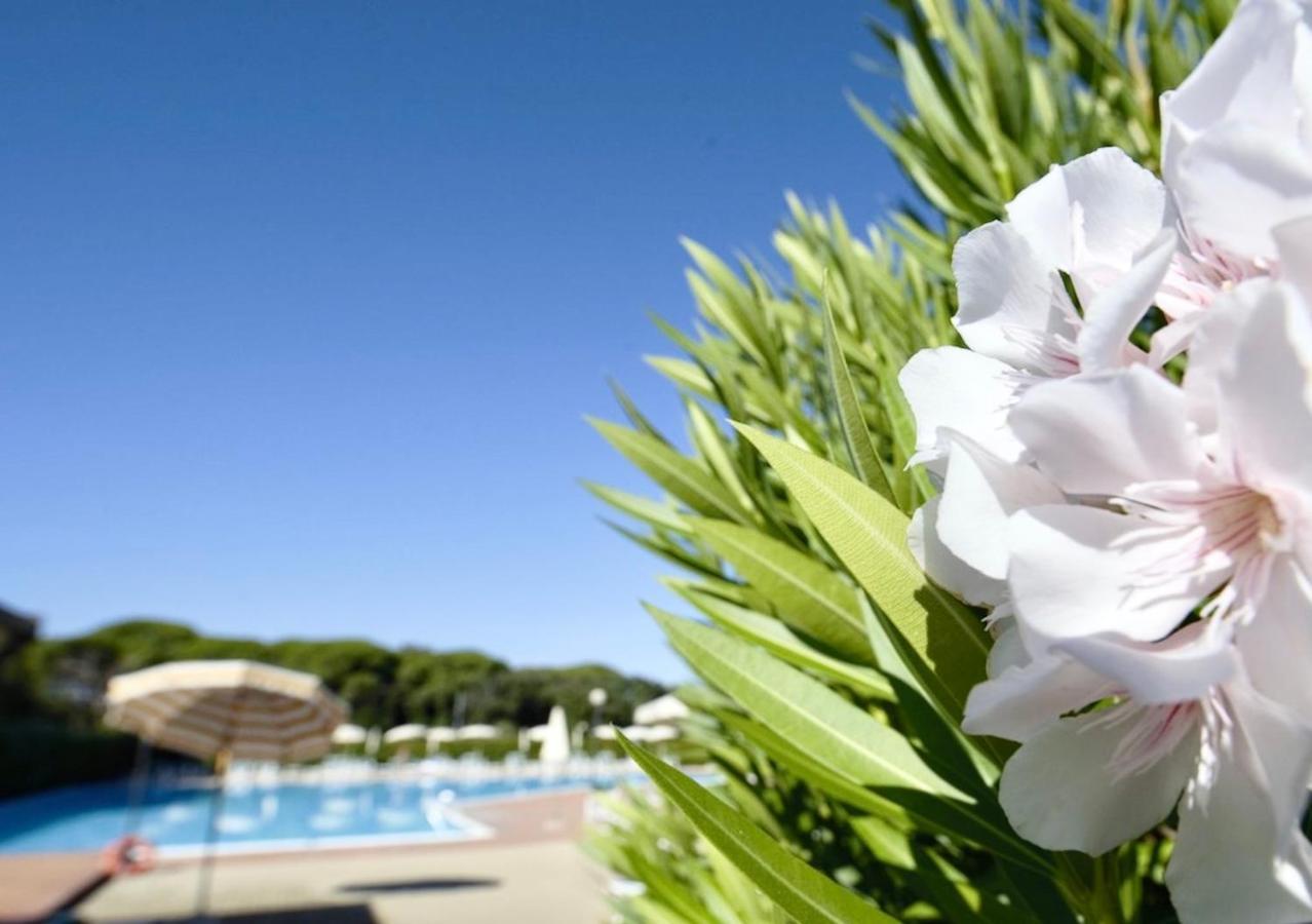 Isa-Apartments 4 Beds In Residence With Swimming-Pool In San Vincenzo, Just 600 Meters From The Sea Exteriör bild